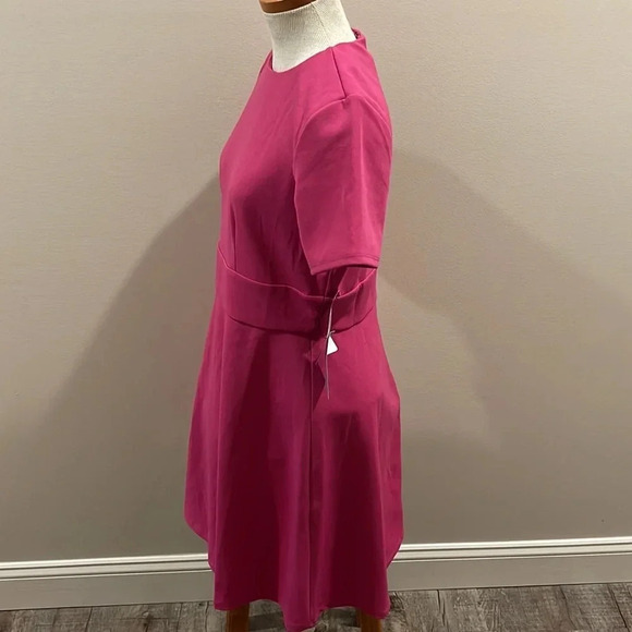 NWT!! Maggy London - Fit And Flare Mini Dress - Short Sleeve - Size 8 - Pink - Picture 3 of 6